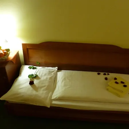 Hotel Korunni Princ