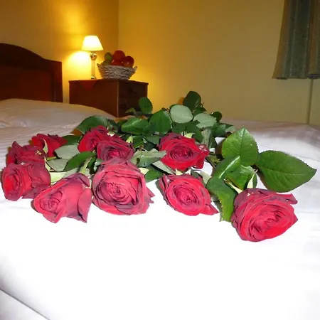 Korunni Princ 3* Turnov