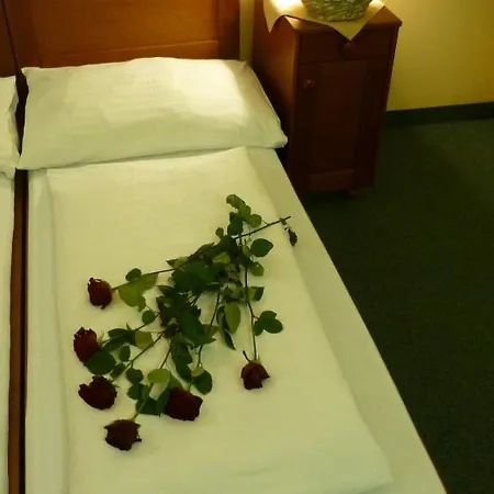 Korunni Princ Hotel Turnov