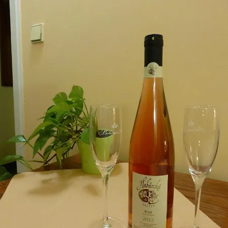 Korunni Princ Turnov