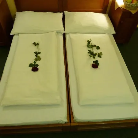 Hotel Korunni Princ 3*