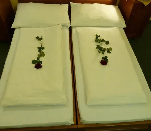 Hotell Korunni Princ 3*